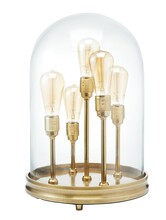 Multi Bulb Light
