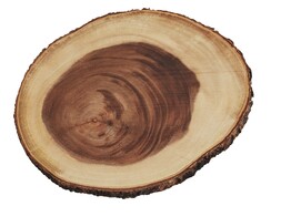 Wooden Serving Tray